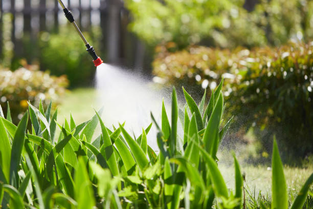 24/7 Emergency Termite Control experts in Tuntutuliak, AK