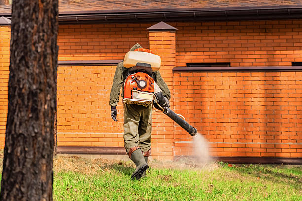 Trusted Emergency Pest Control service in Tuntutuliak, AK - Nex Pest Control